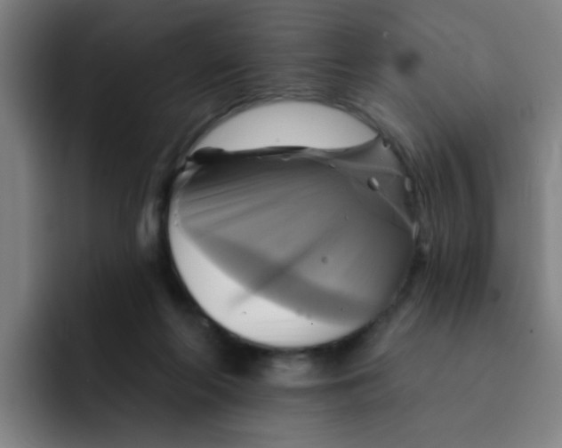 X0000091910214200709261722