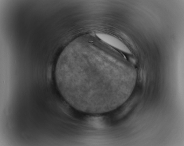 X0000091910217200709261721