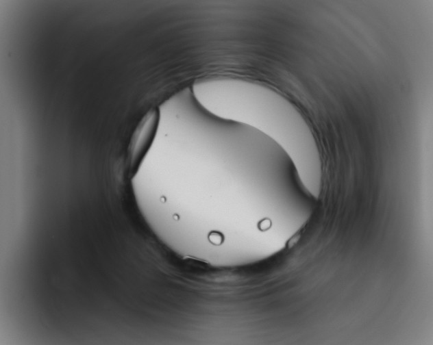 X0000091910219200709261721