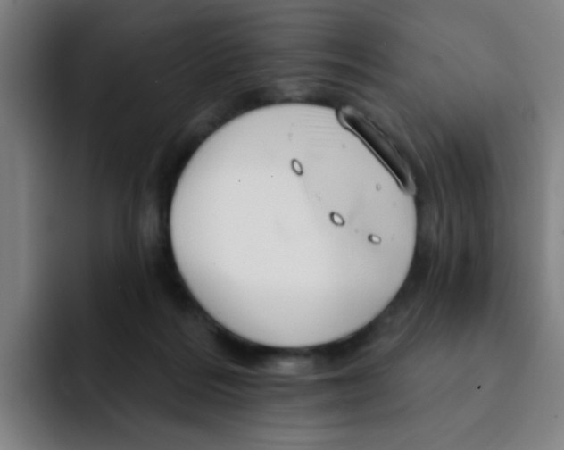 X0000091910220200709261721