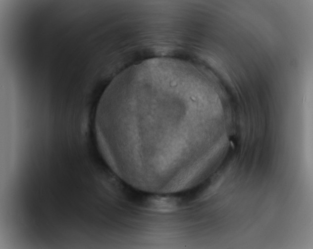 X0000091910221200709261721