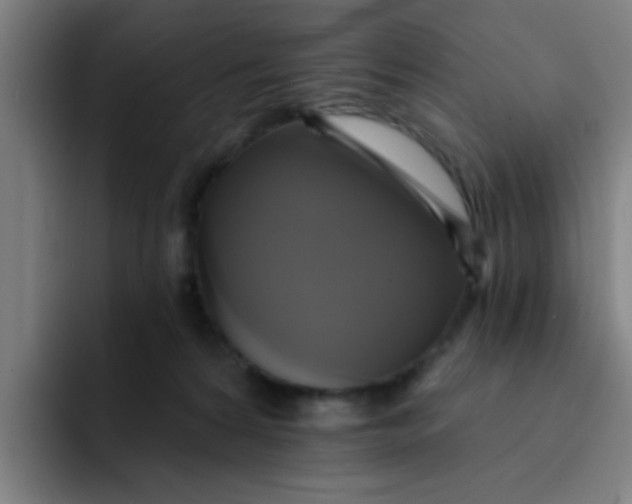 X0000091910224200709261721