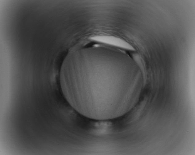 X0000091910225200709261721