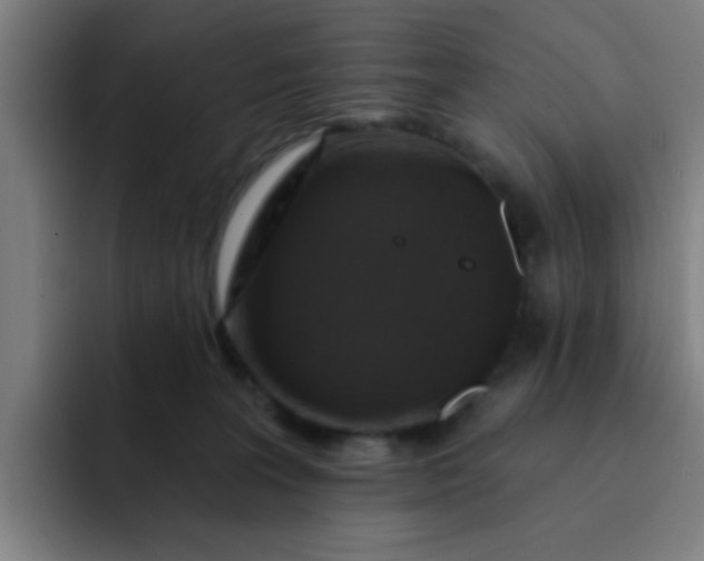 X0000091910227200709261721