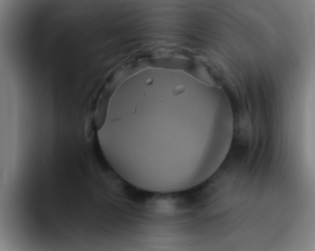 X0000091910228200709261721