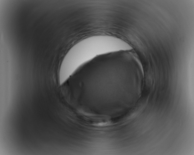 X0000091910229200709261721