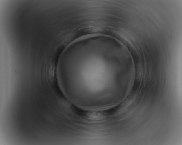 X0000091910230200709261721