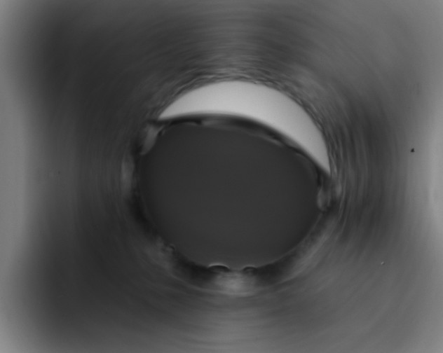 X0000091910231200709261721