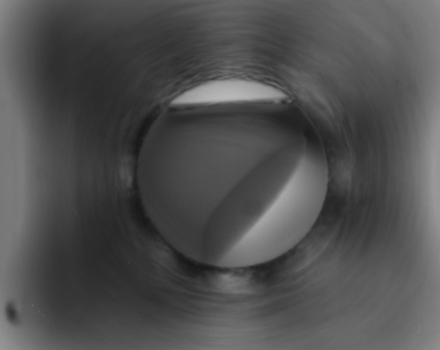 X0000091910232200709261721