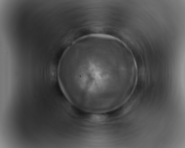 X0000091910234200709261721