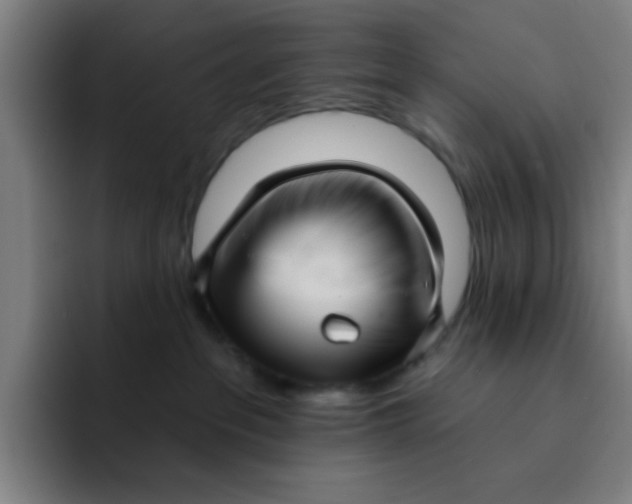 X0000091910237200709261721