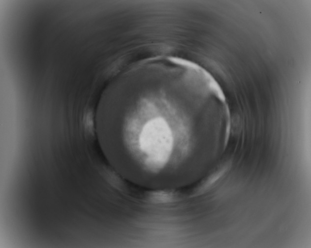 X0000091910238200709261721