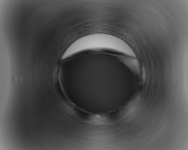 X0000091910239200709261721