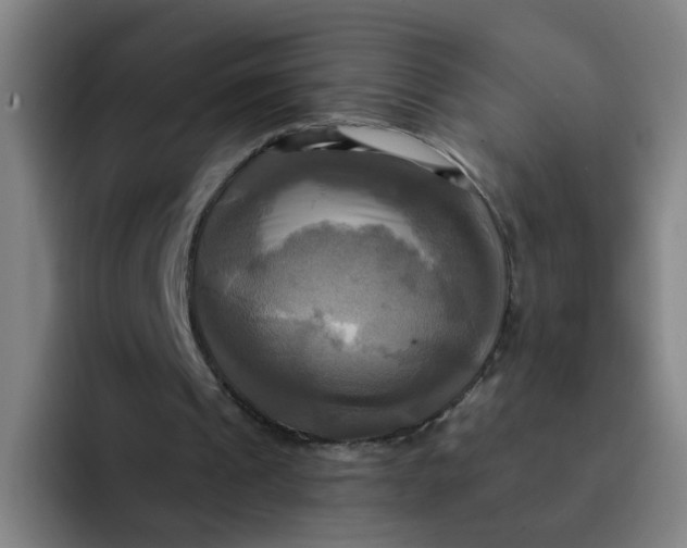 X0000091910241200709261721