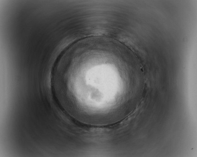 X0000091910242200709261721