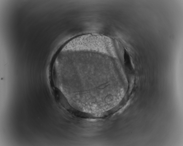 X0000091910244200709261721