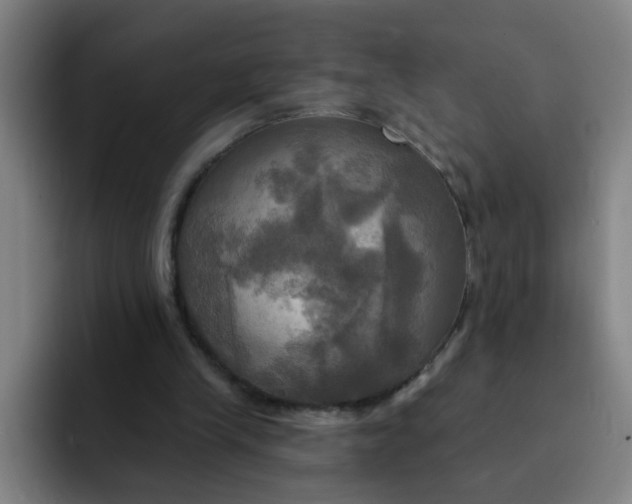 X0000091910245200709261721