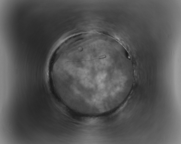 X0000091910246200709261721