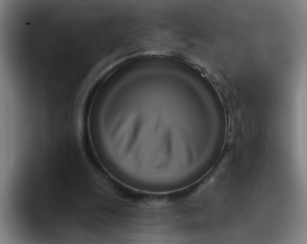 X0000091910247200709261721