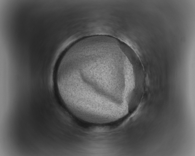 X0000091910248200709261721