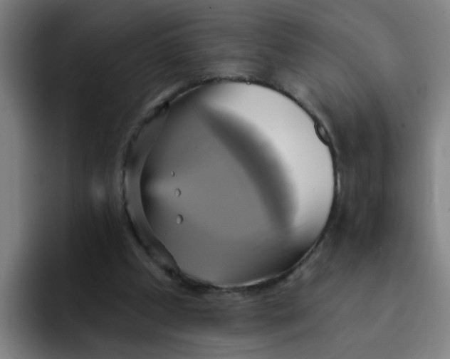 X0000091910249200709261721