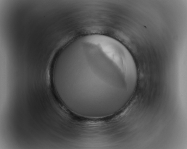 X0000091910250200709261721