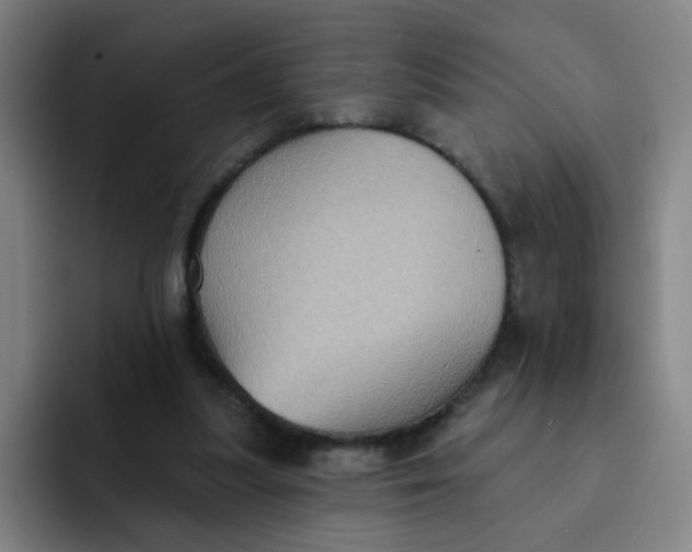 X0000091910251200709261721