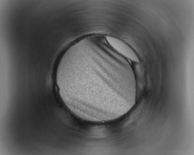 X0000091910252200709261721