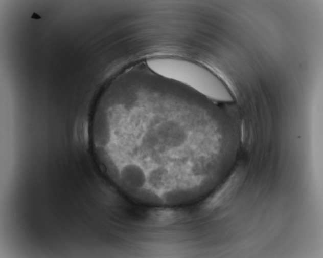 X0000091910253200709261721