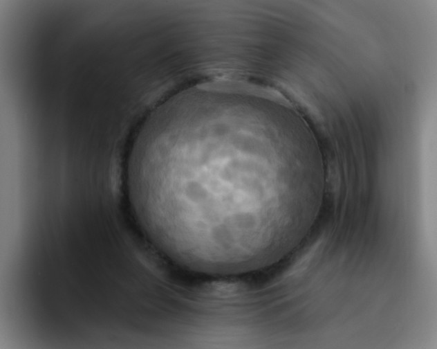 X0000091910255200709261721