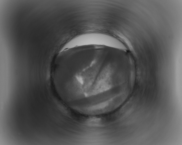 X0000091910257200709261721