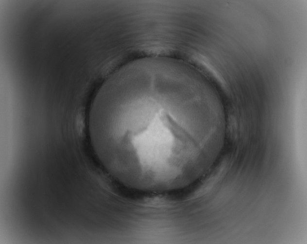 X0000091910259200709261721