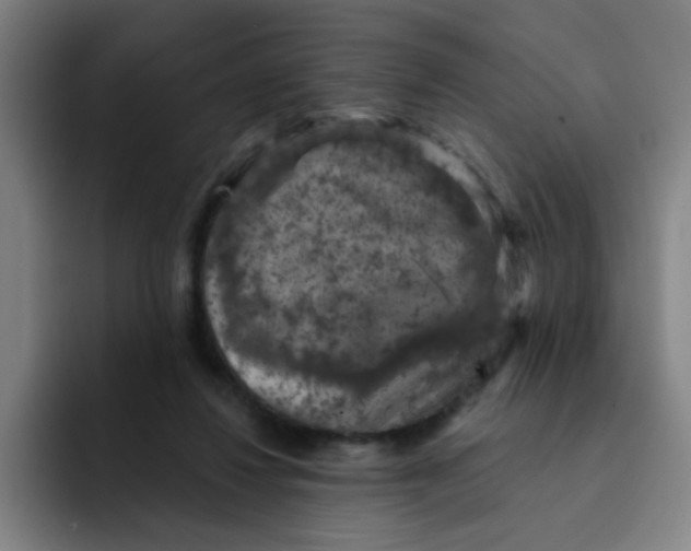 X0000091910260200709261721