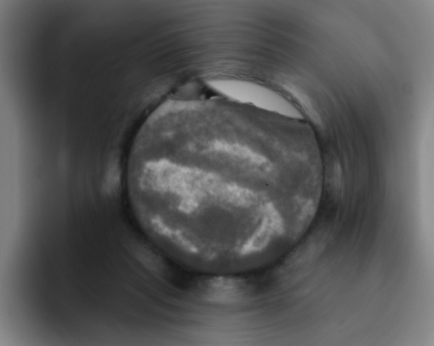 X0000091910261200709261721