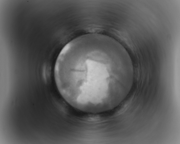 X0000091910263200709261721