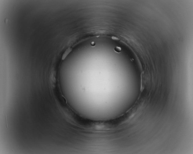 X0000091910264200709261721