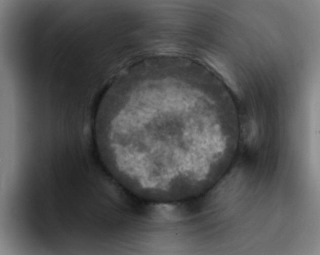 X0000091910265200709261721