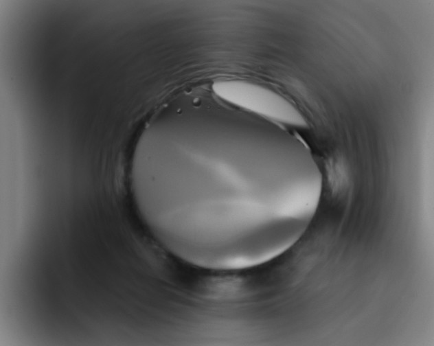 X0000091910266200709261721