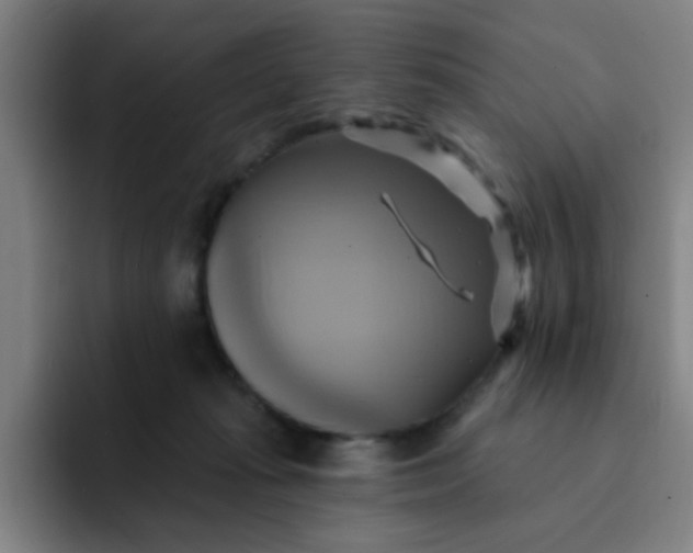 X0000091910269200709261721