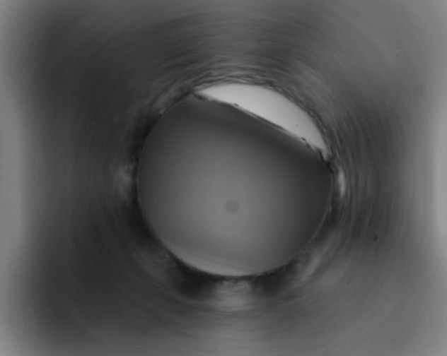 X0000091910271200709261721