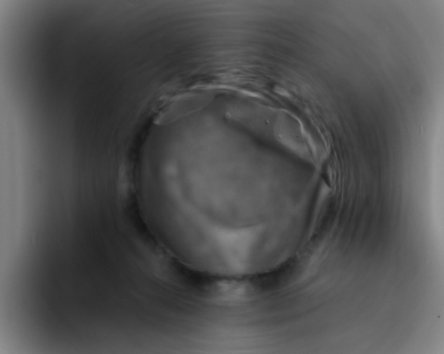 X0000091910272200709261721