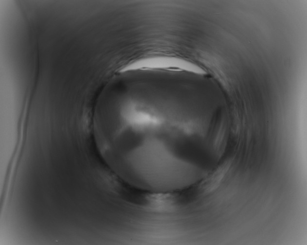 X0000091910273200709261721