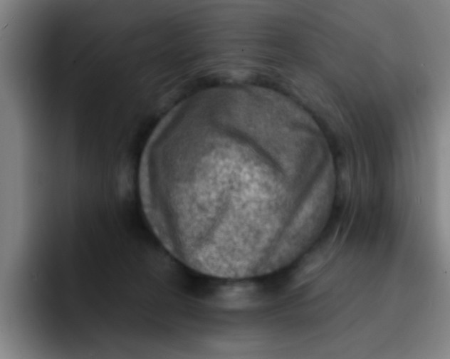 X0000091910274200709261721