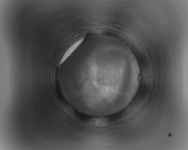 X0000091910275200709261721