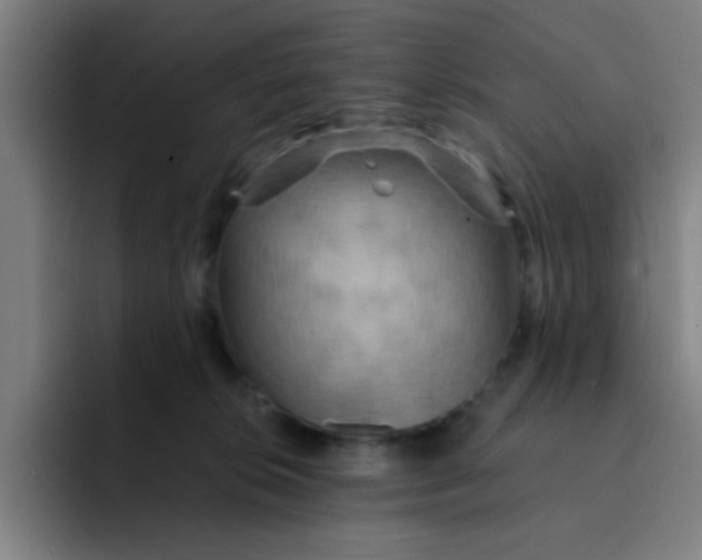 X0000091910276200709261721