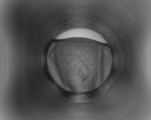 X0000091910278200709261721