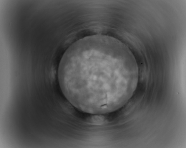 X0000091910279200709261721