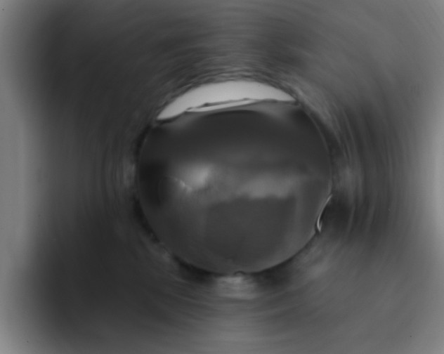 X0000091910281200709261721