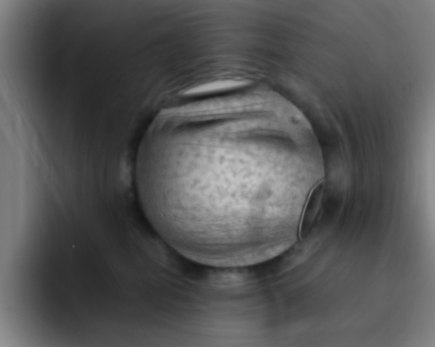 X0000091910282200709261721