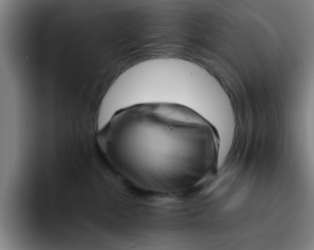 X0000091910284200709261721